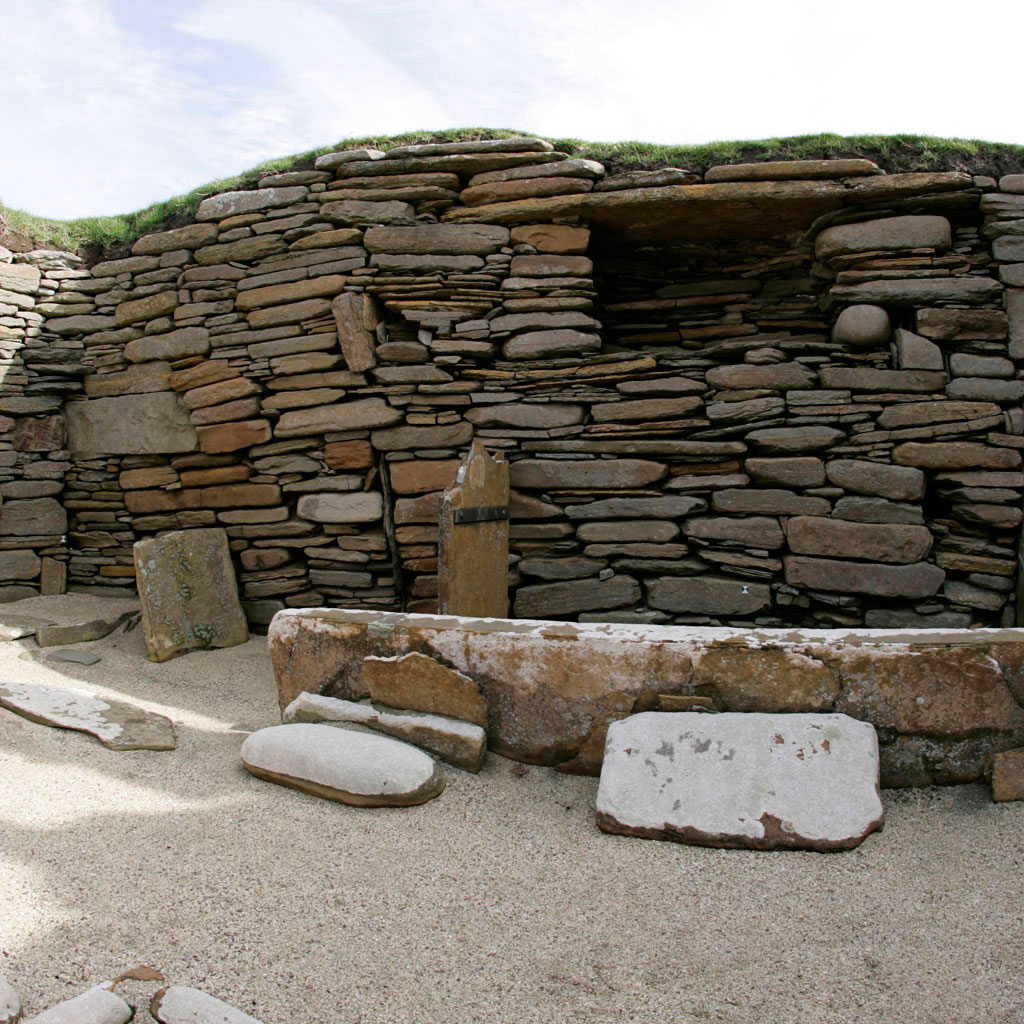Image 009