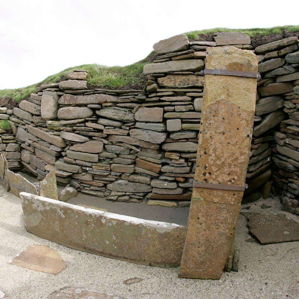 Image 006