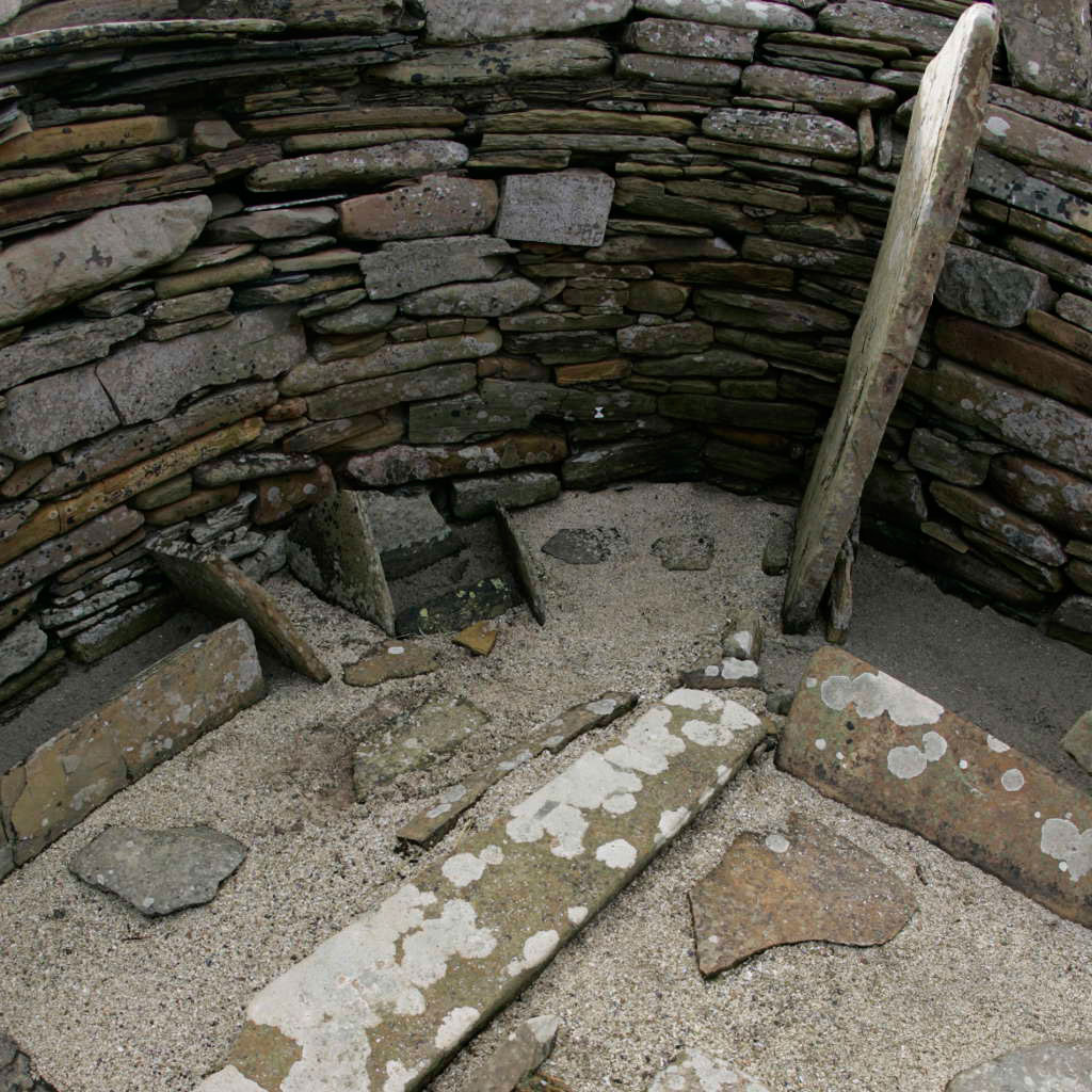 Image 009