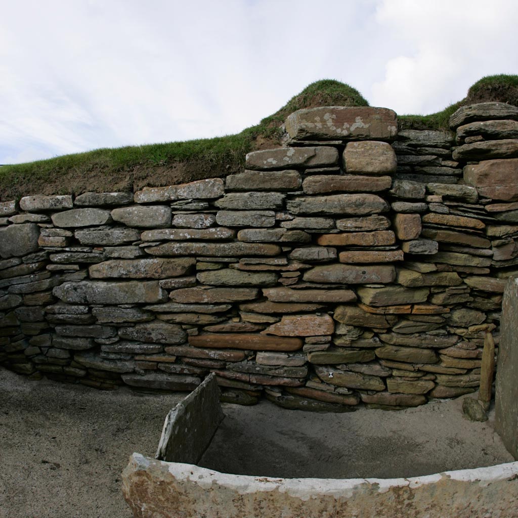 Image 007