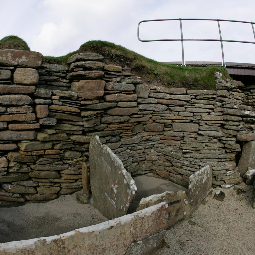 Image 008