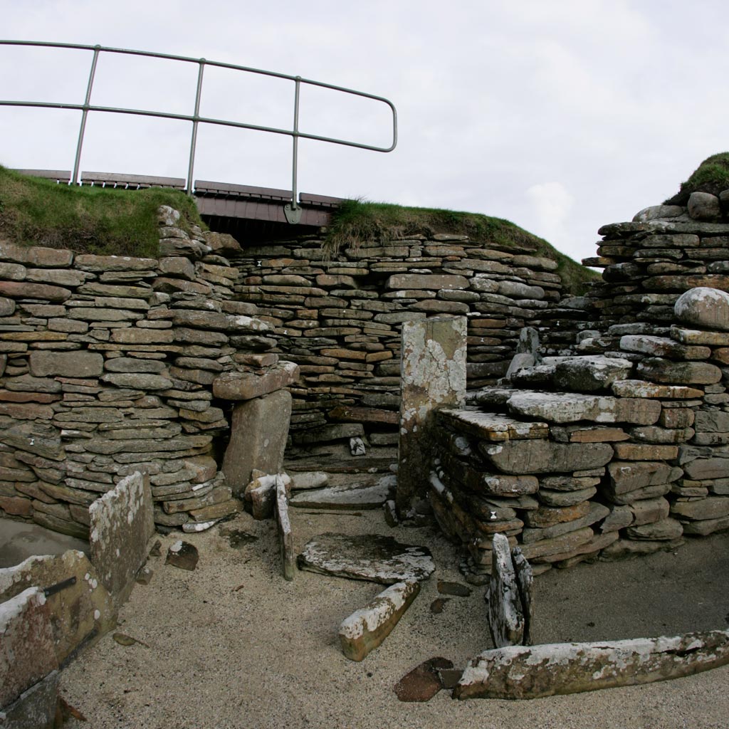 Image 009