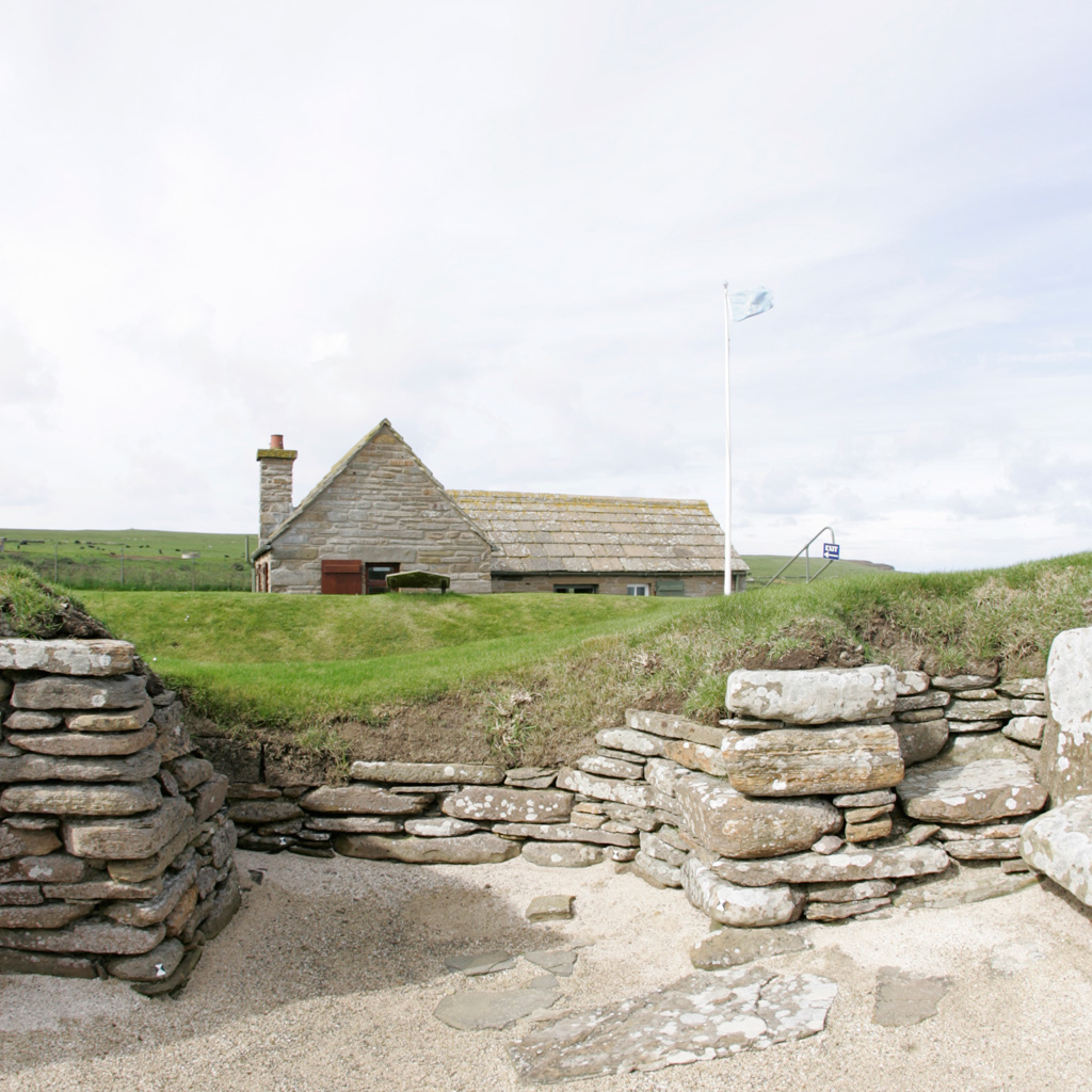 Image 003