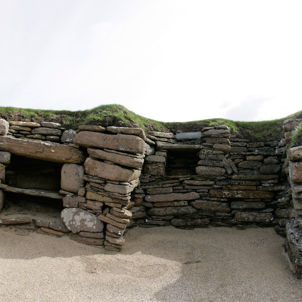 Image 007