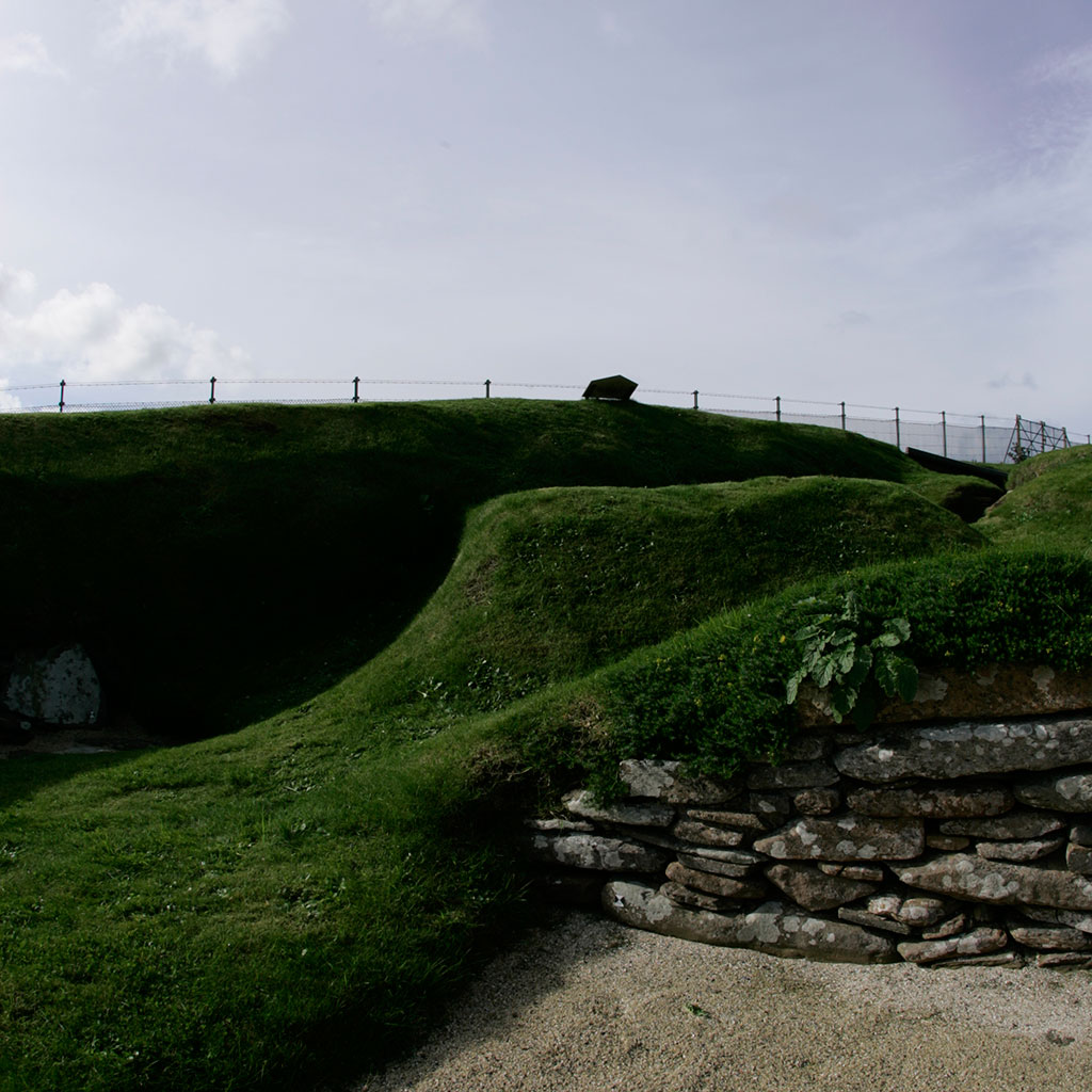 Image 006