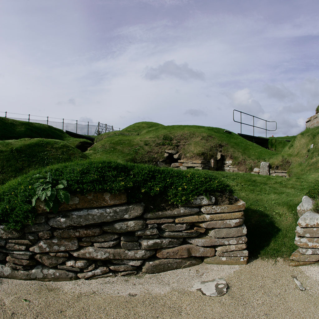 Image 007