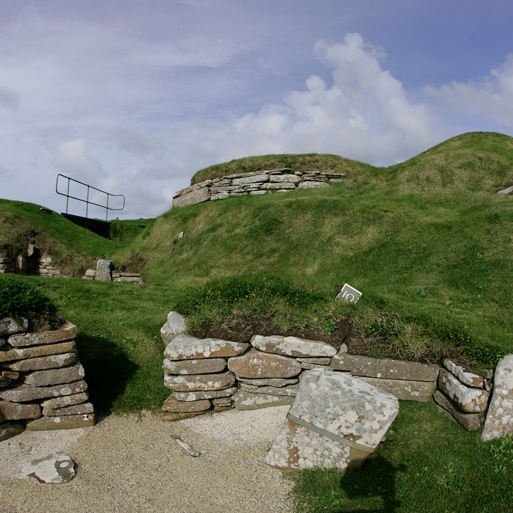 Image 008